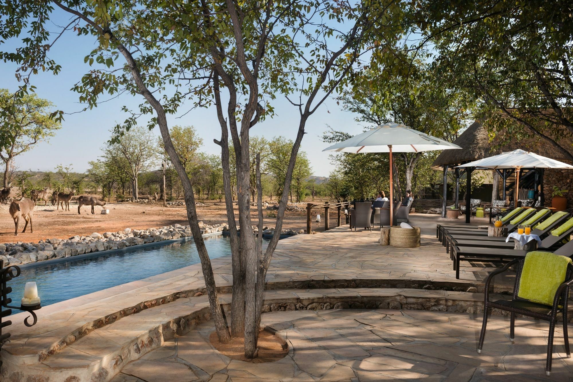 Ongava Tented Camp - All-Inclusive 오카우쿠에요 외부 사진